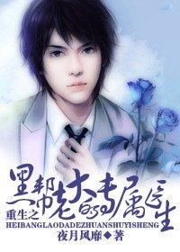 重生之黑帮老大的专属医生